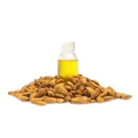 Nut Oils